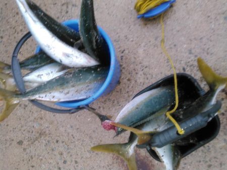 ジャイアントドックX